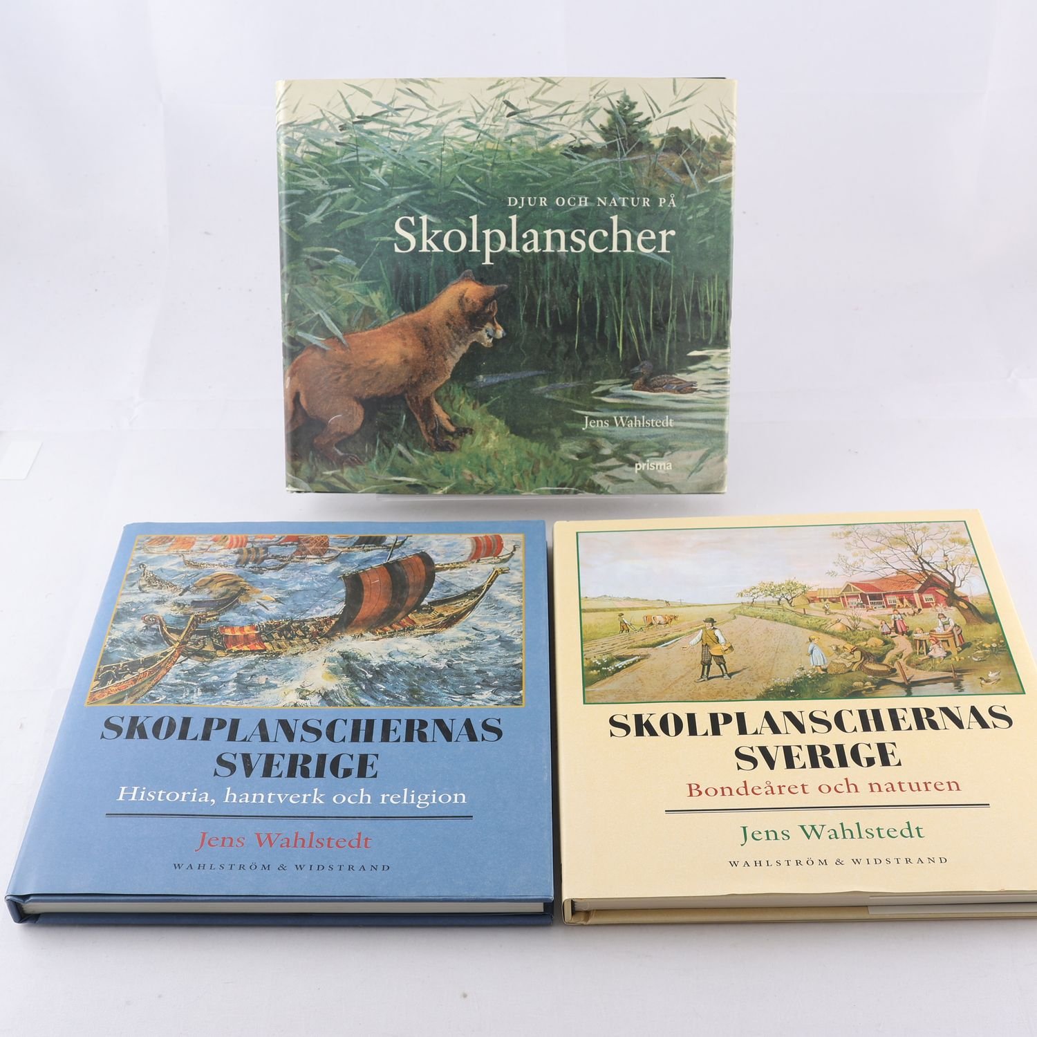 Bokpaket, Skolplanscher, 3 volymer