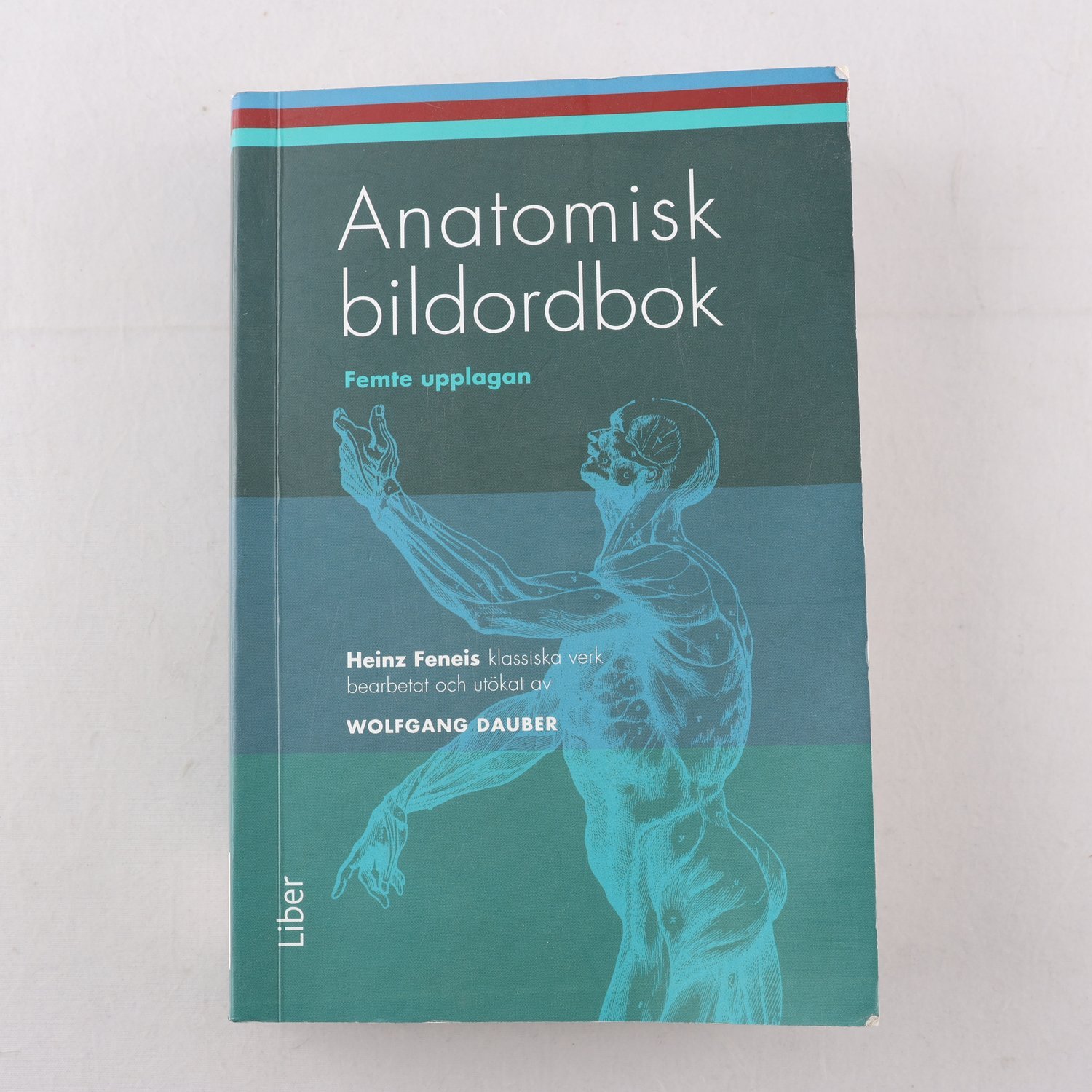 Anatomisk bildordbok, femte upplagan
