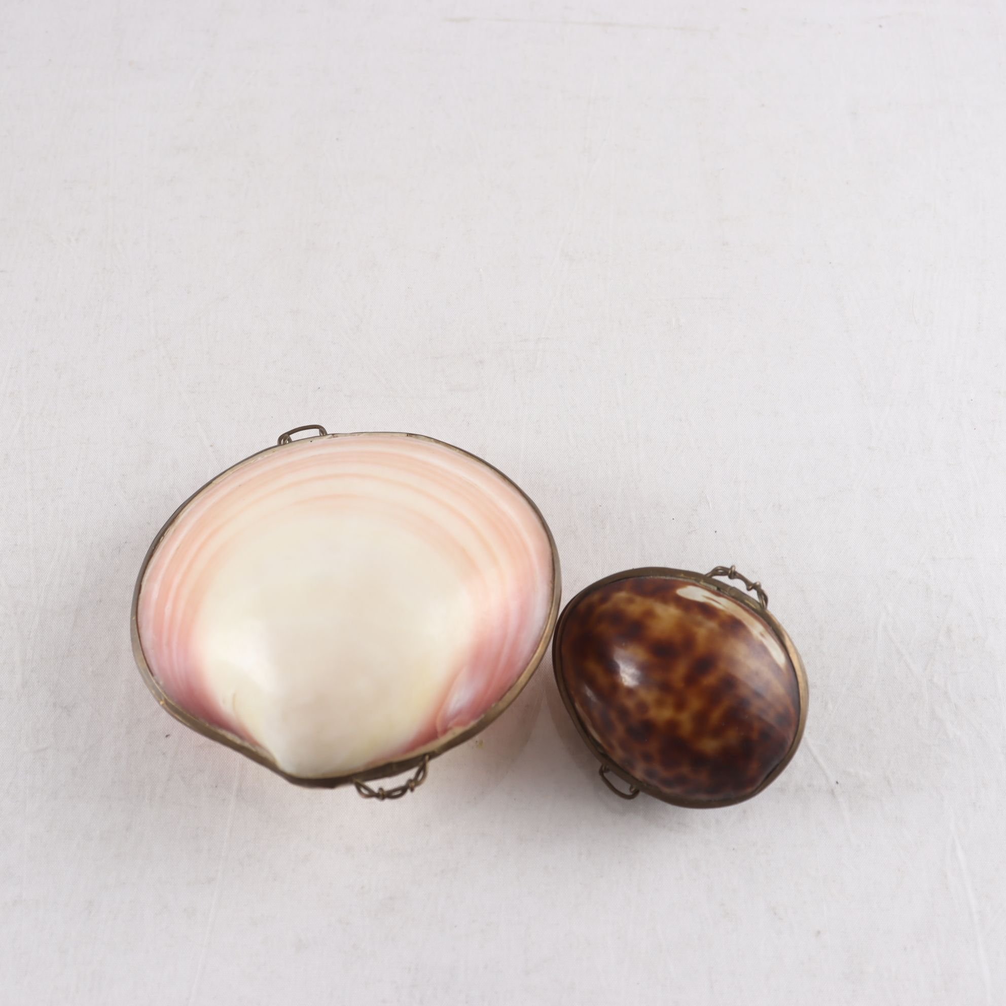 Smyckeskrin, snäckor, 2 st.