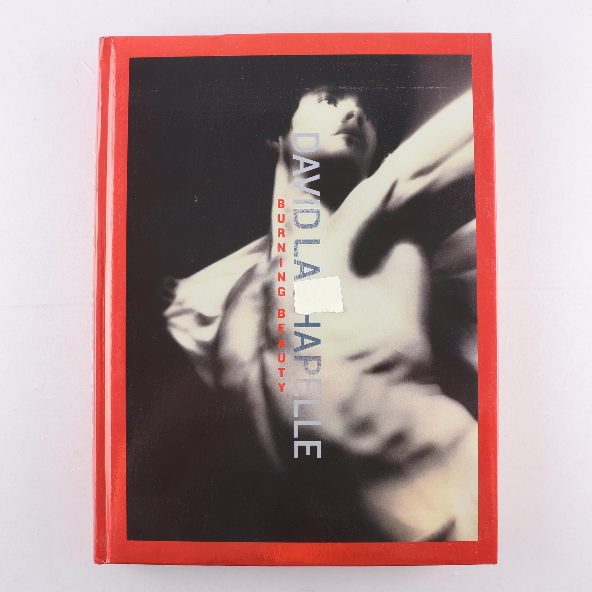 David LaChapelle, Burning beauty. Samfraktas ej.