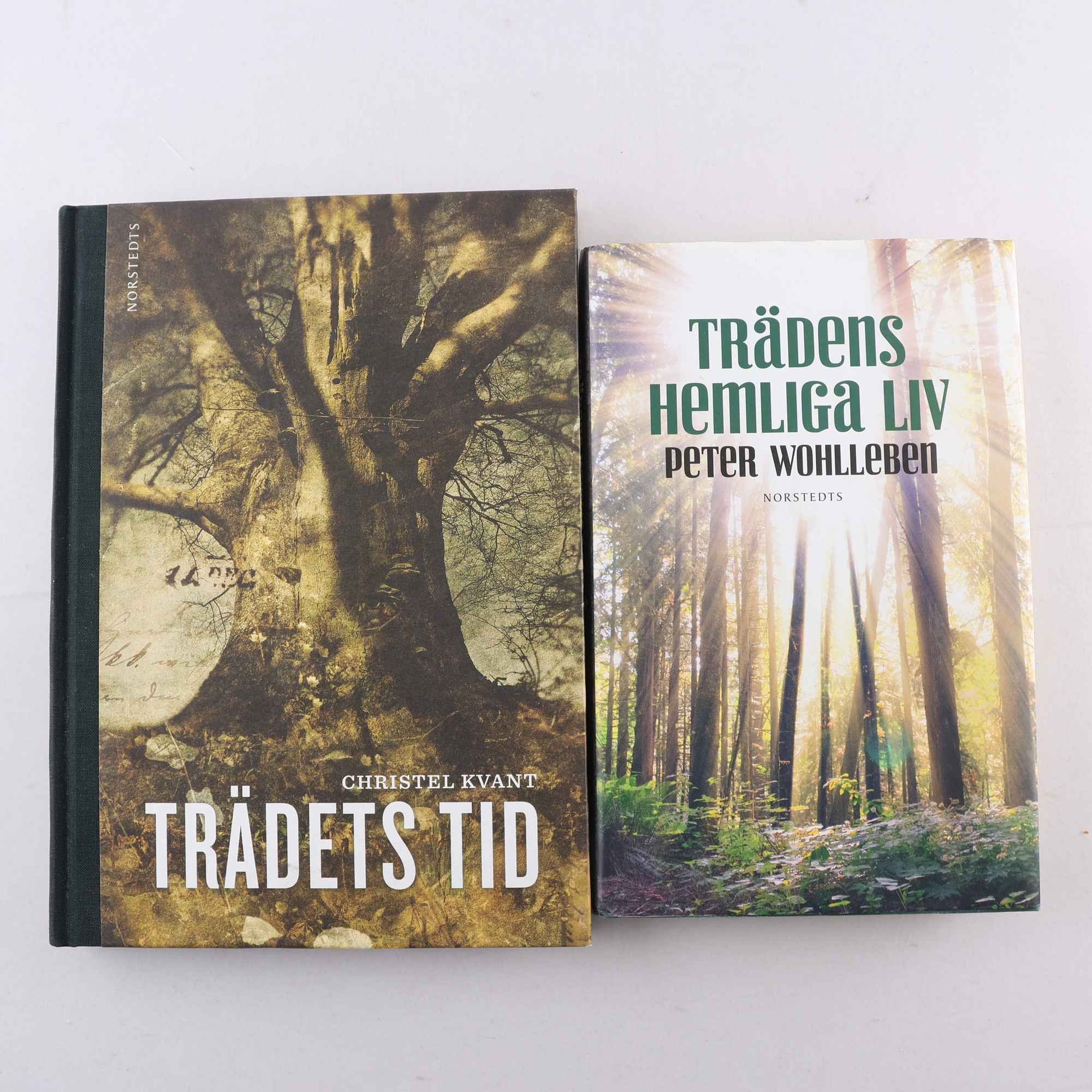 Bokpaket, Trädens hemliga liv & Trädets tid