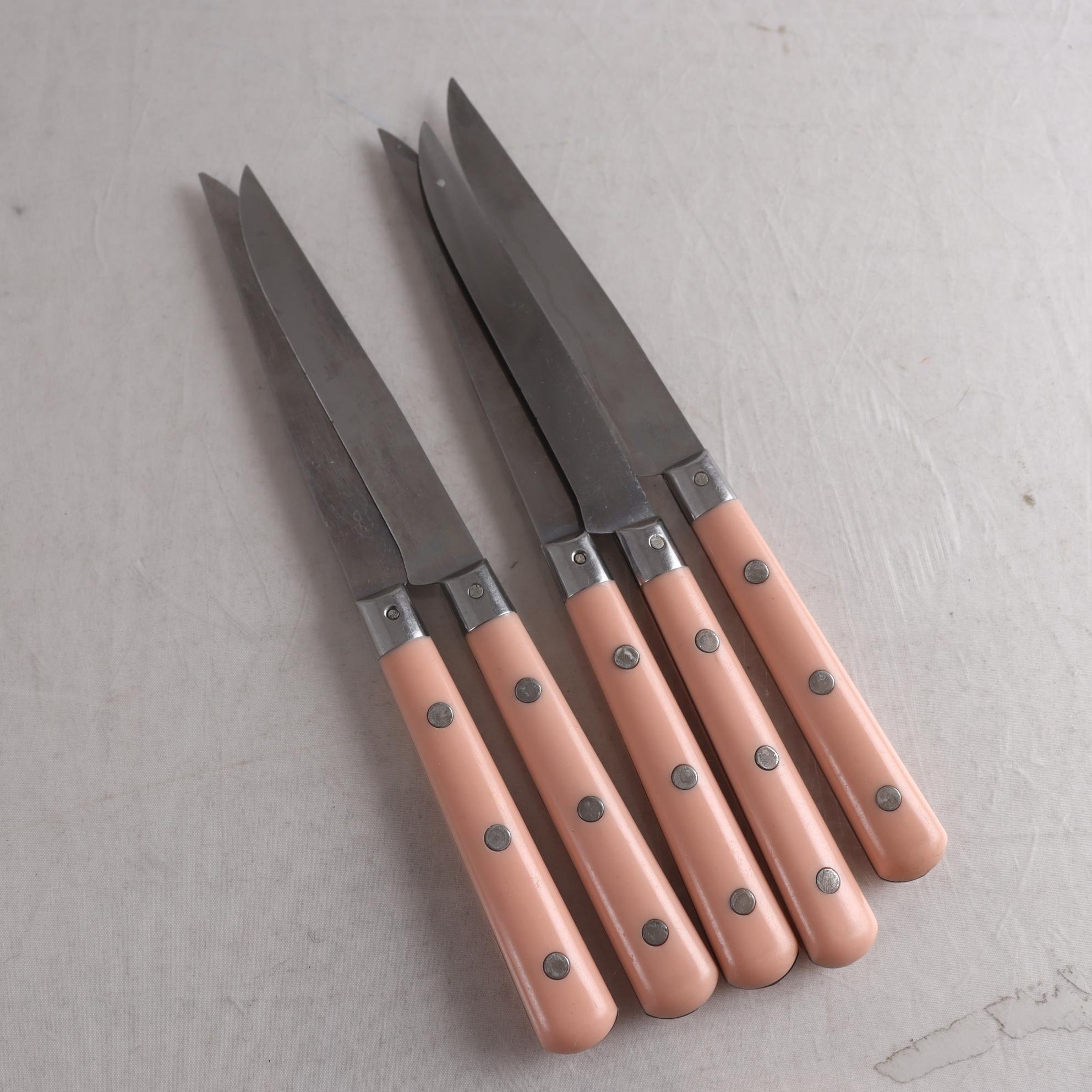 Bistrobestick, knivar, Seed Inox Frankrike, 5 st