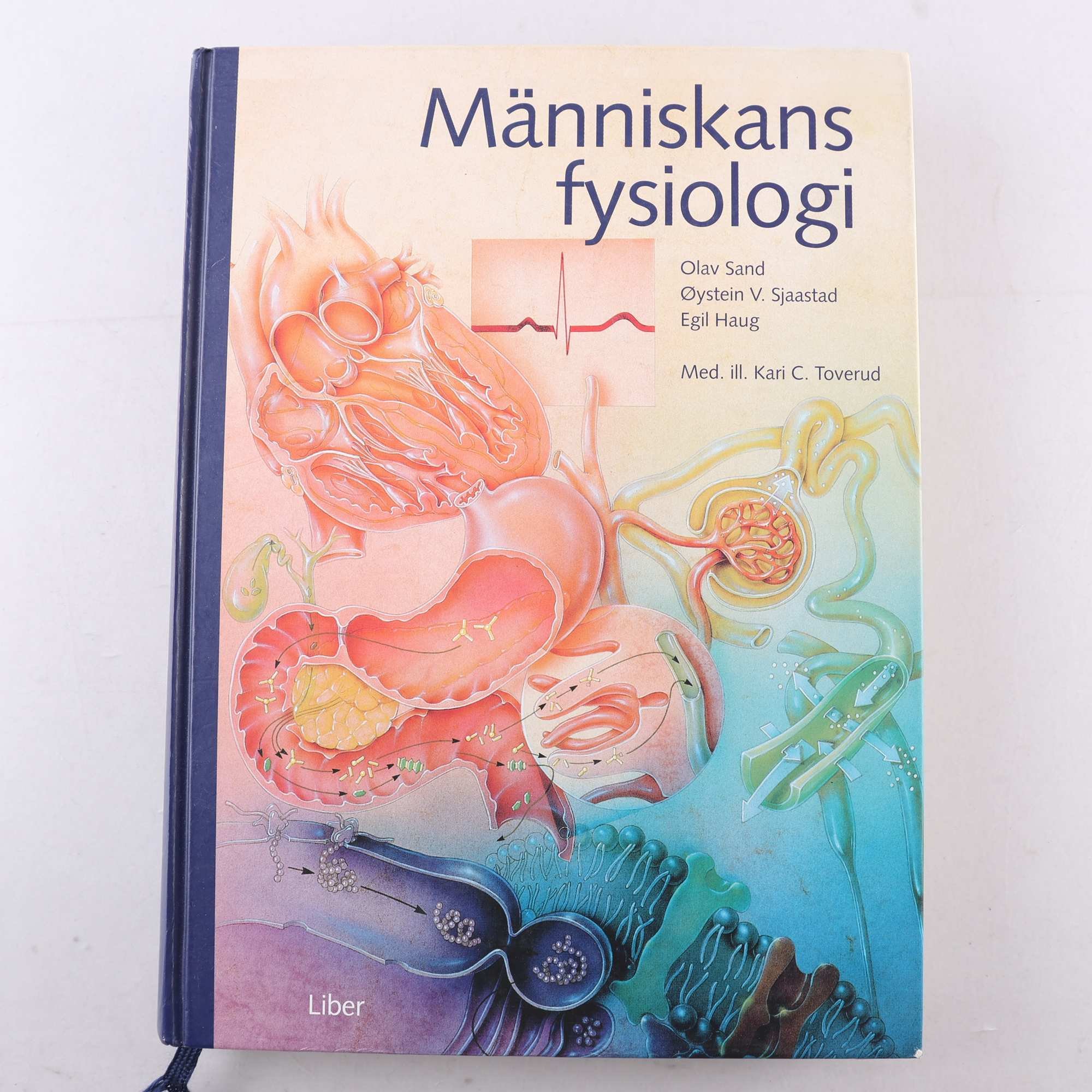 Människans fysiologi, Sand, Sjaastad & Haug