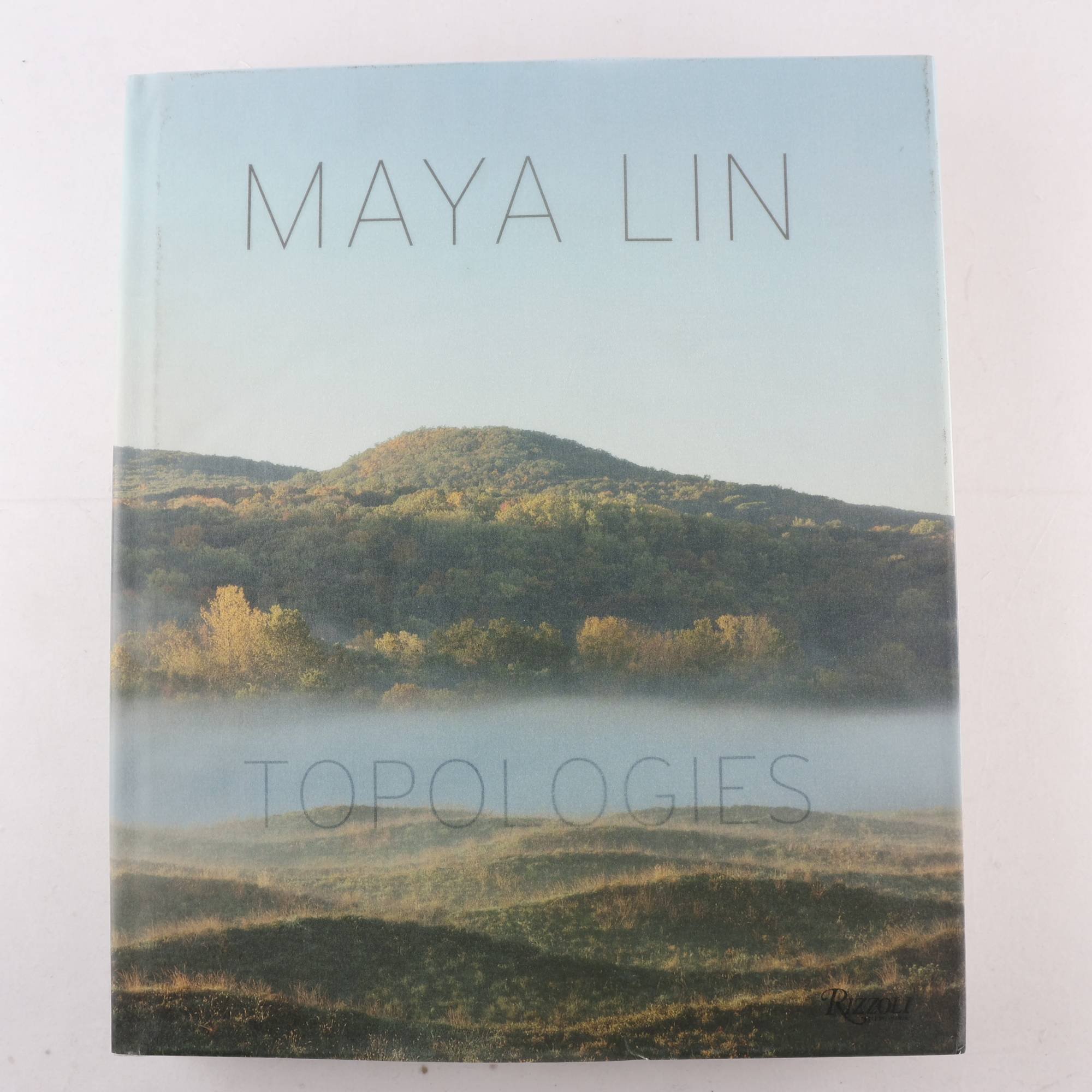 Maya Lin, Topologies. Samfraktas ej.