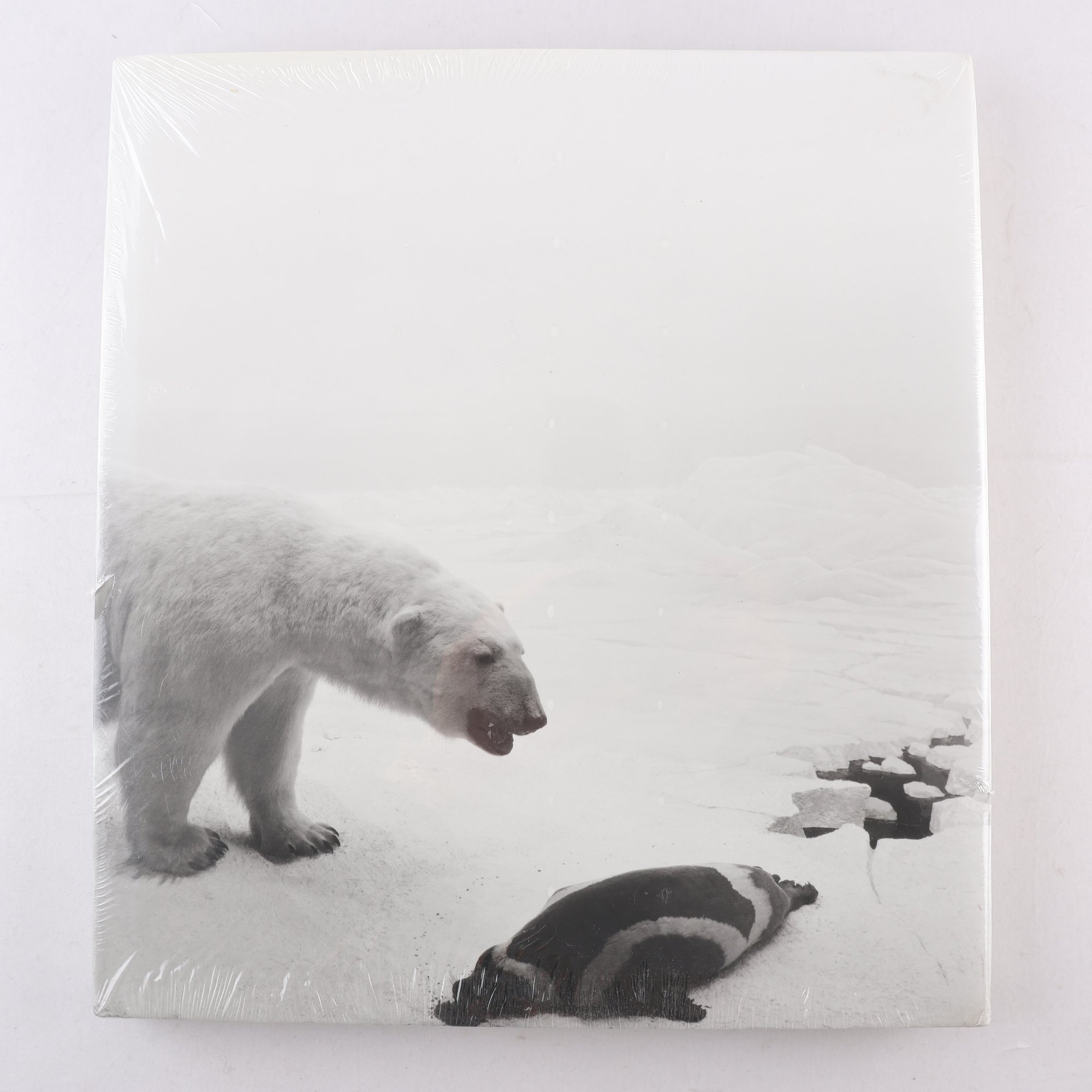 Hiroshi Sugimoto, Dioramas