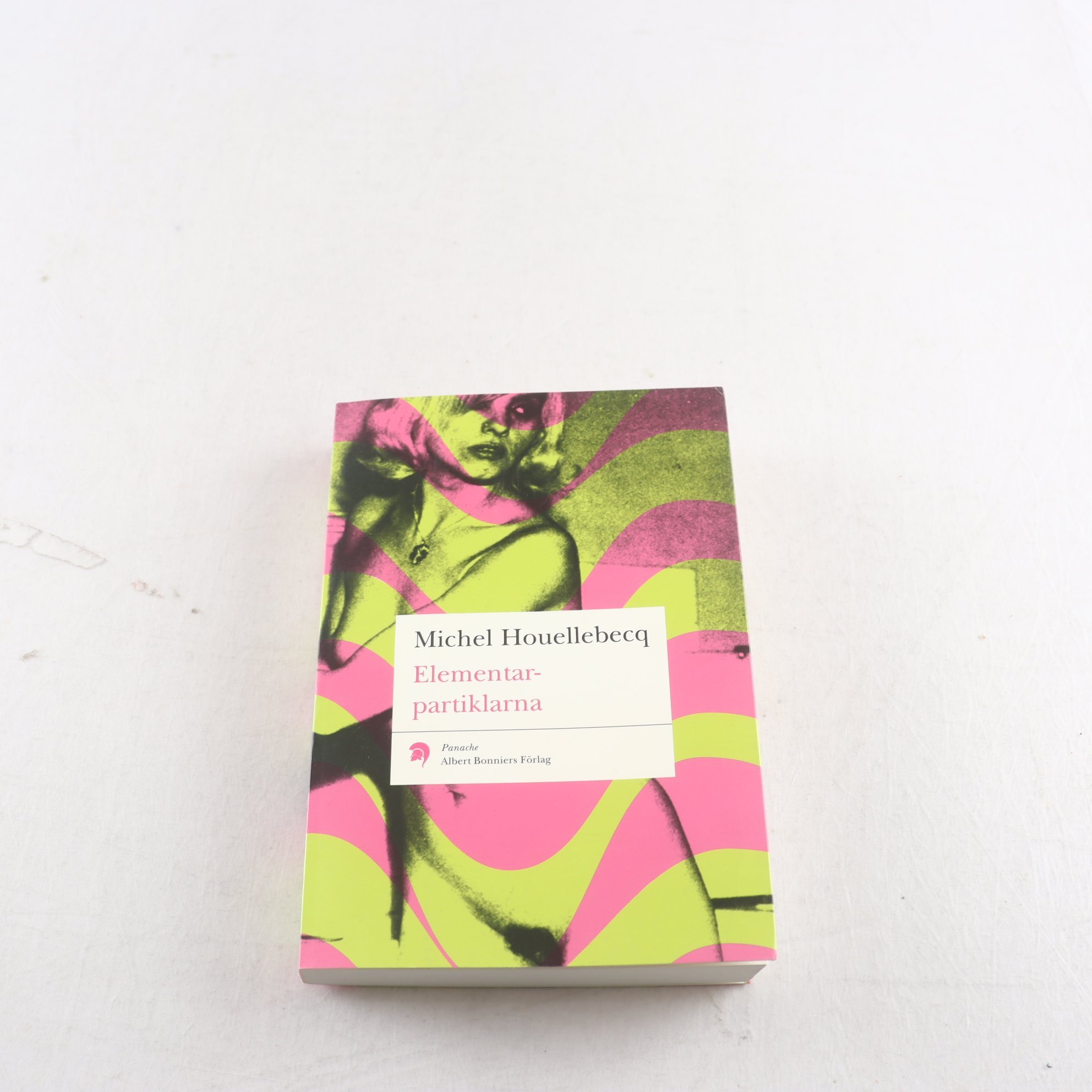 Michel Houellebecq, Elementarpartiklarna