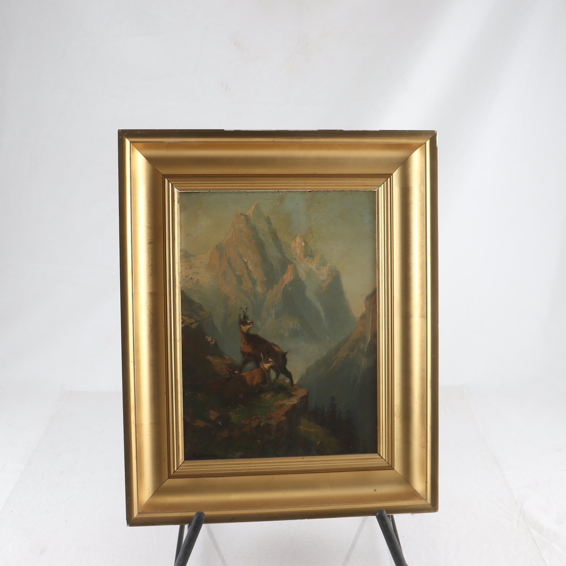 Olja på pannå, Gems i bergsmljö, Eduard Buhler, Schweiz, sign. Samfraktas ej.