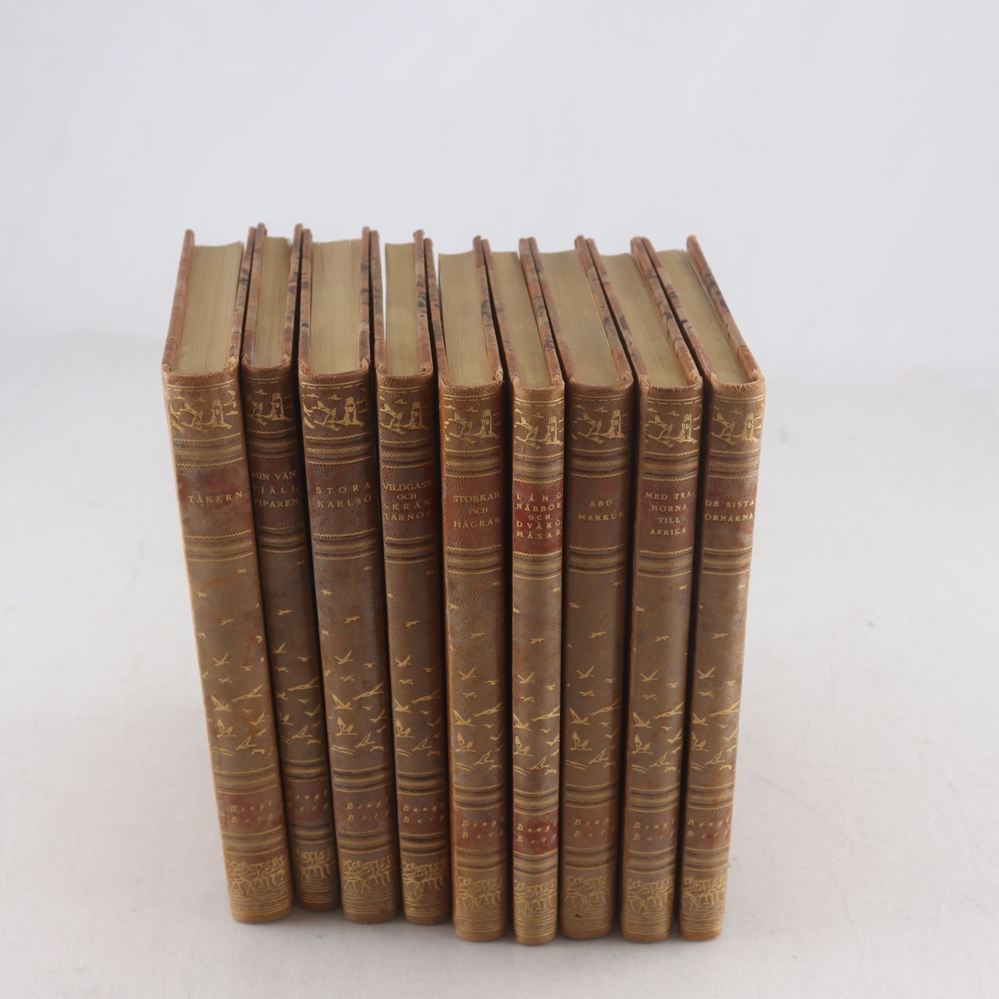 Bengt Berg, bokpaket med 9 volymer