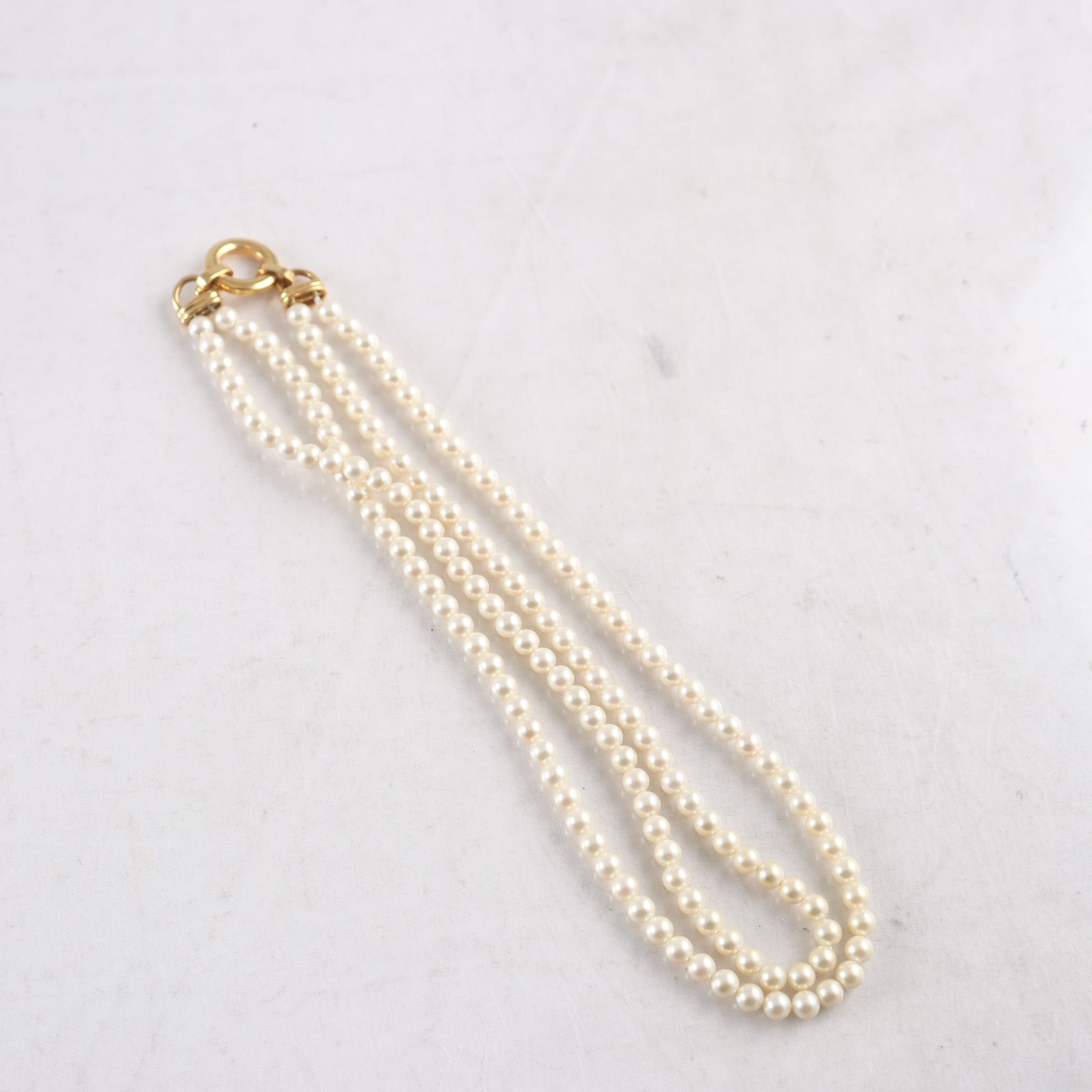 Pärlhalsband, Misaki, Japan