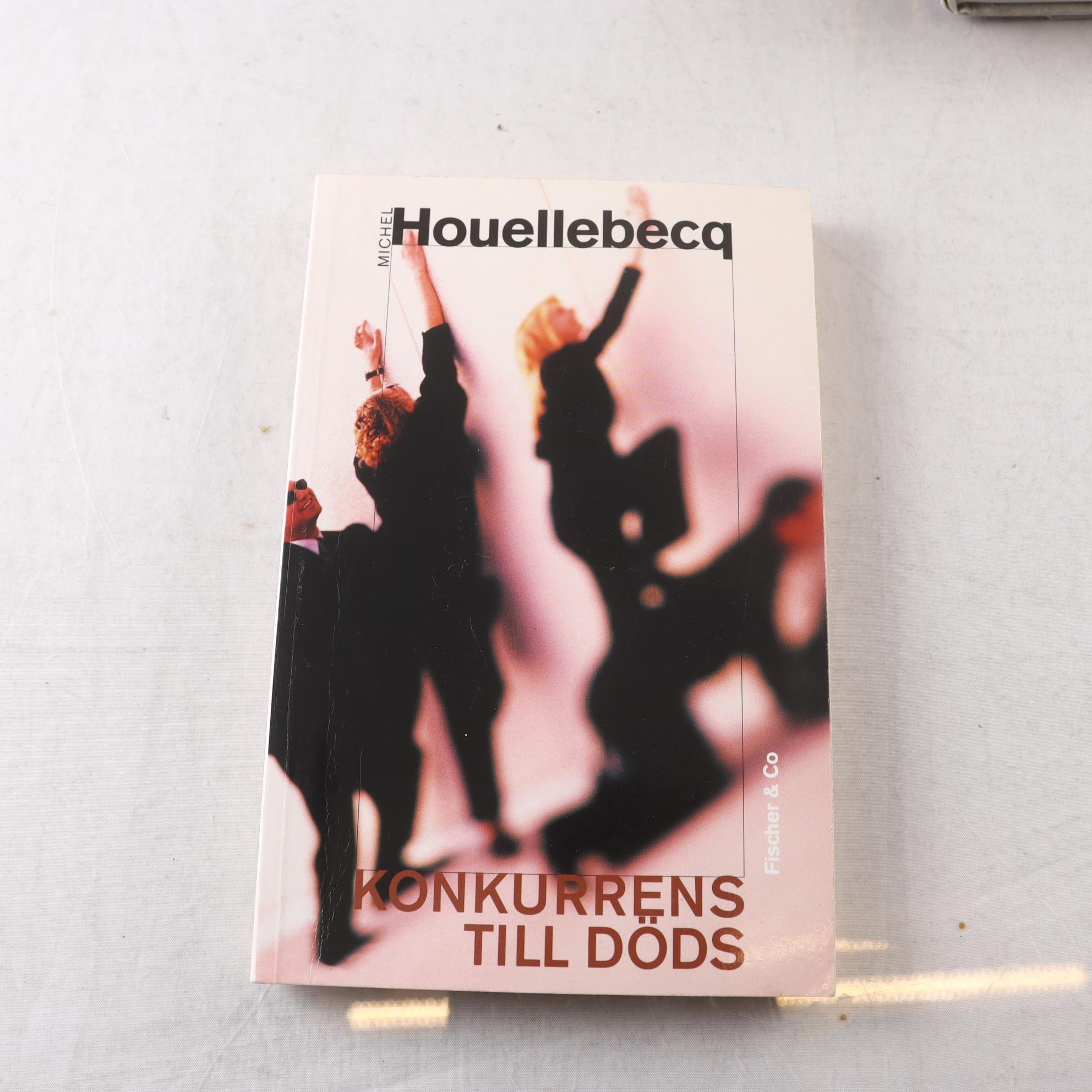 Konkurrens till döds – Michel Houellebecq