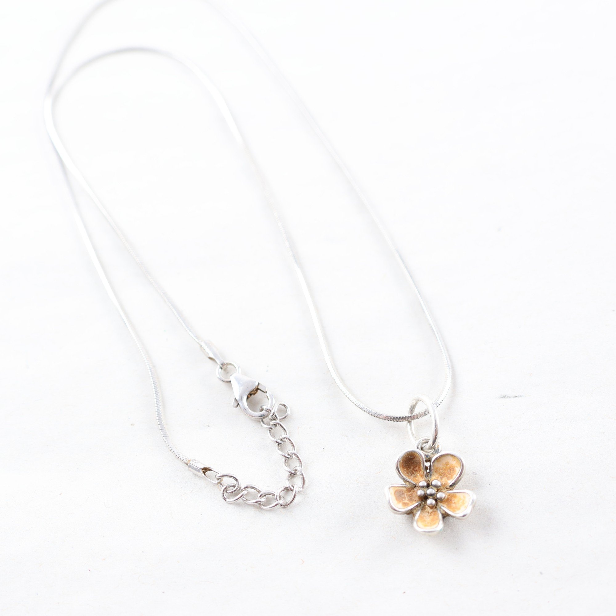 Halsband & hänge, silver, brv: 4.8g