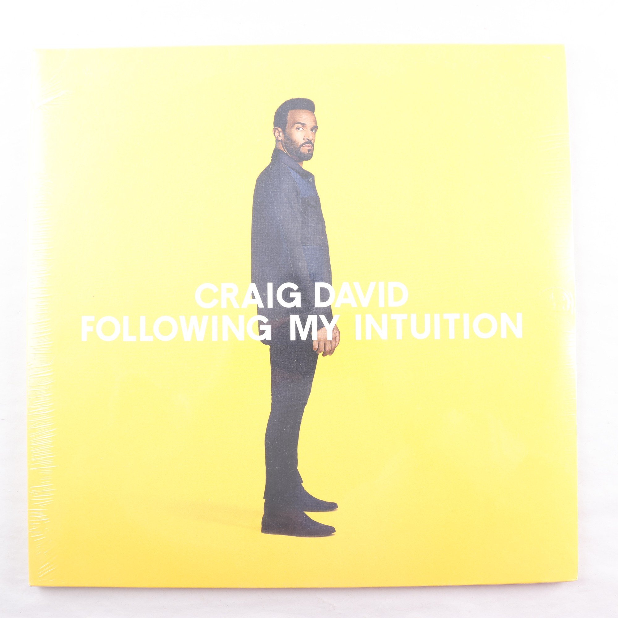 LP Craig David, Following My Intuition