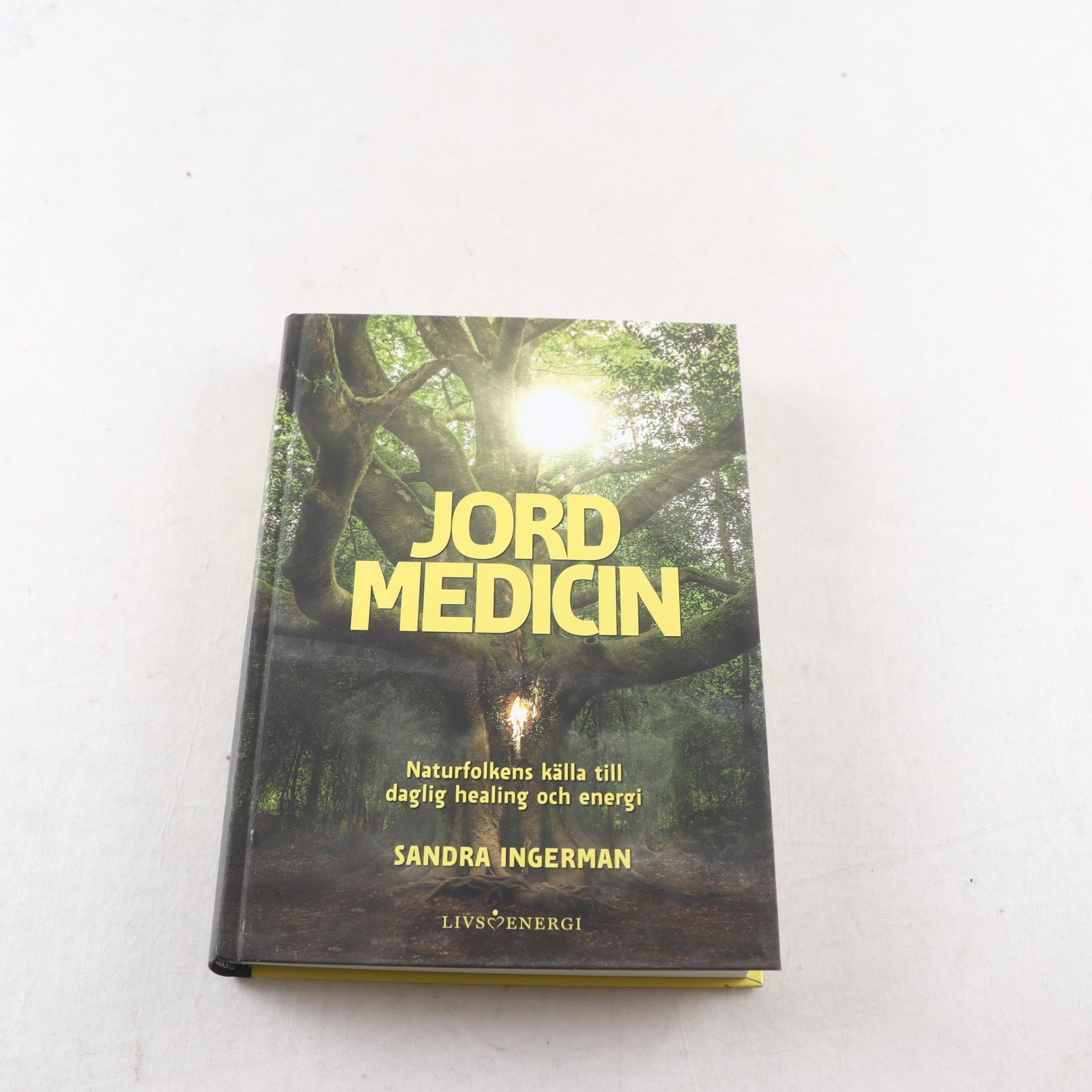 Sandra Ingerman, Jordmedicin