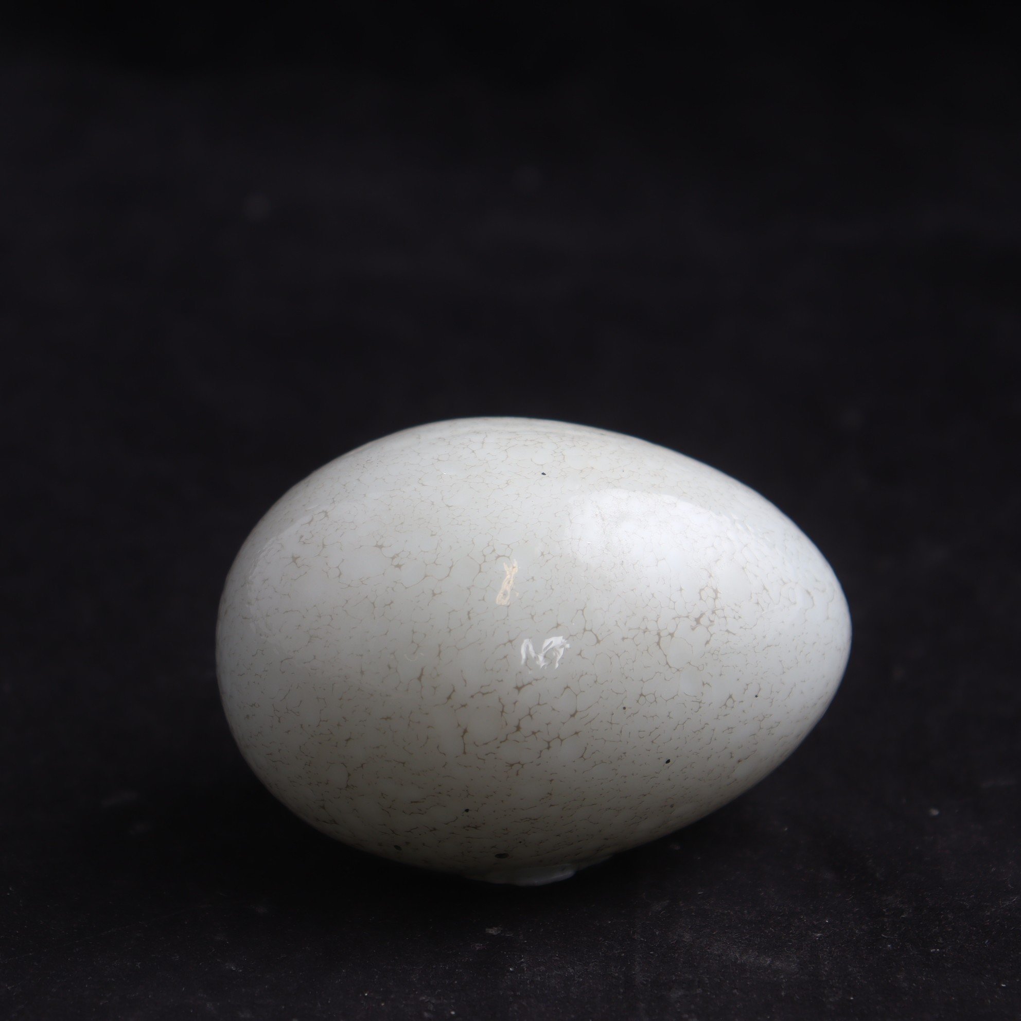 Glasägg, Oiva Toikka, Iittala