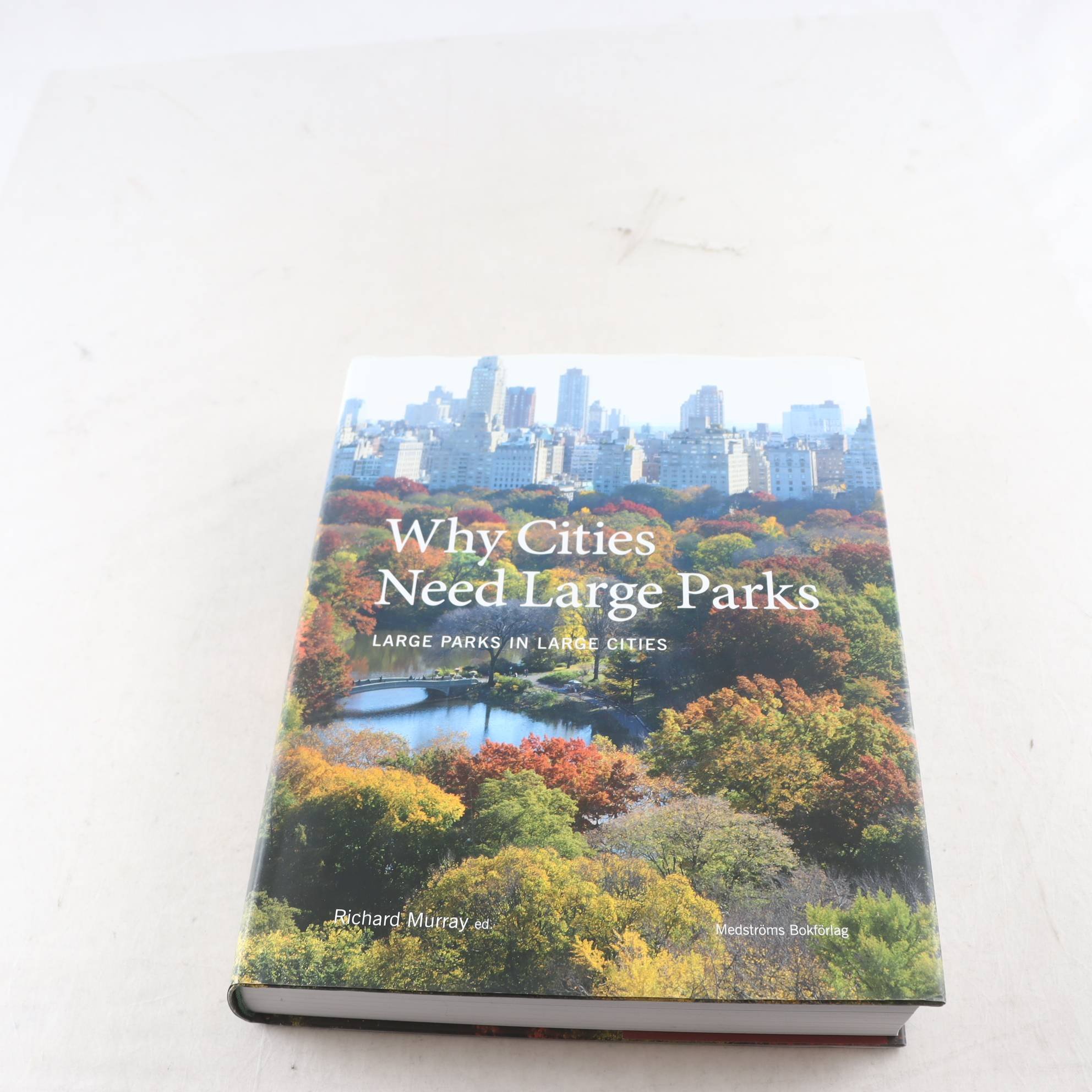 Why Cities Need Large Parks, Large Parks in Large Cities