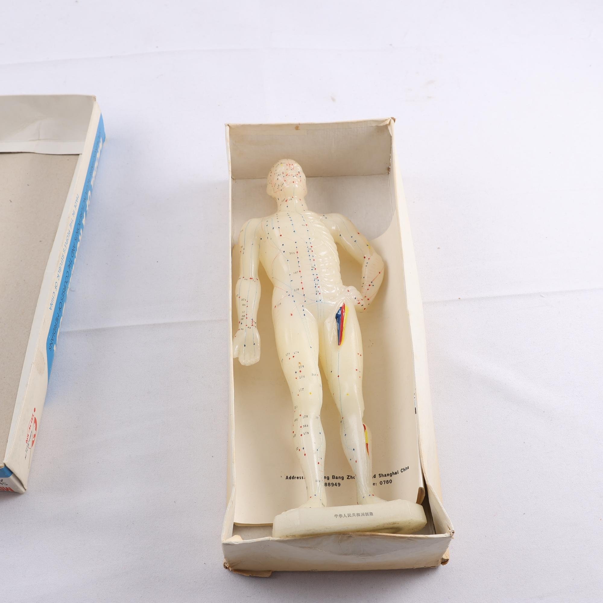 Akupunktur docka, Plast.