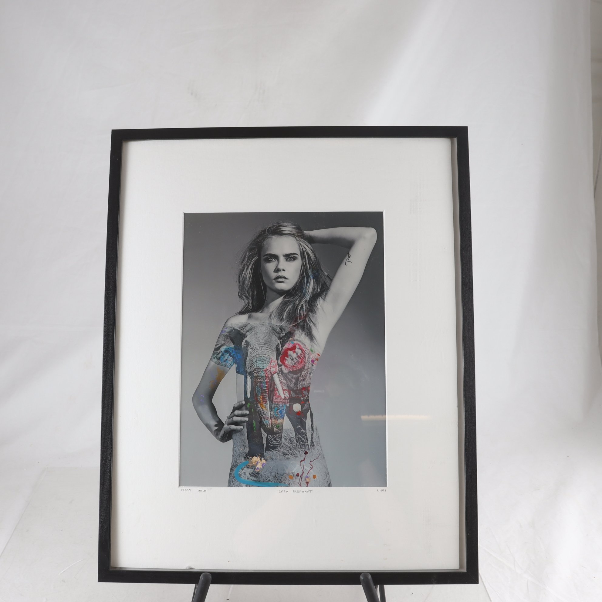 Fotografi, Cara elephant, Elias Armo, USA, nr 161. Samfraktas ej.