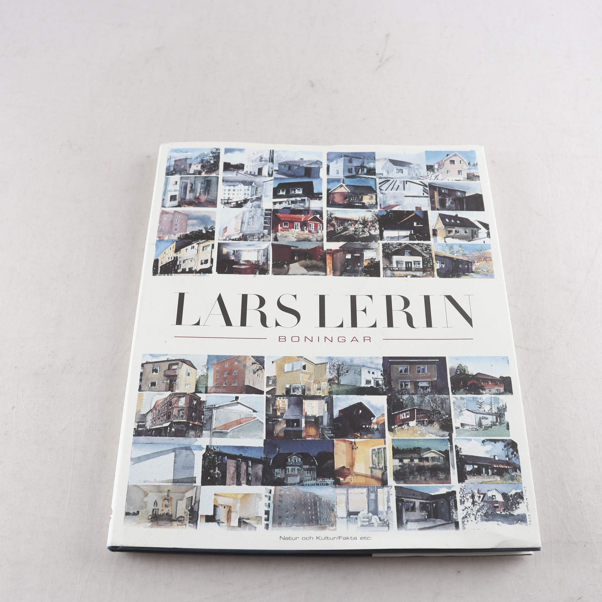 Lars Lerin, Boningar