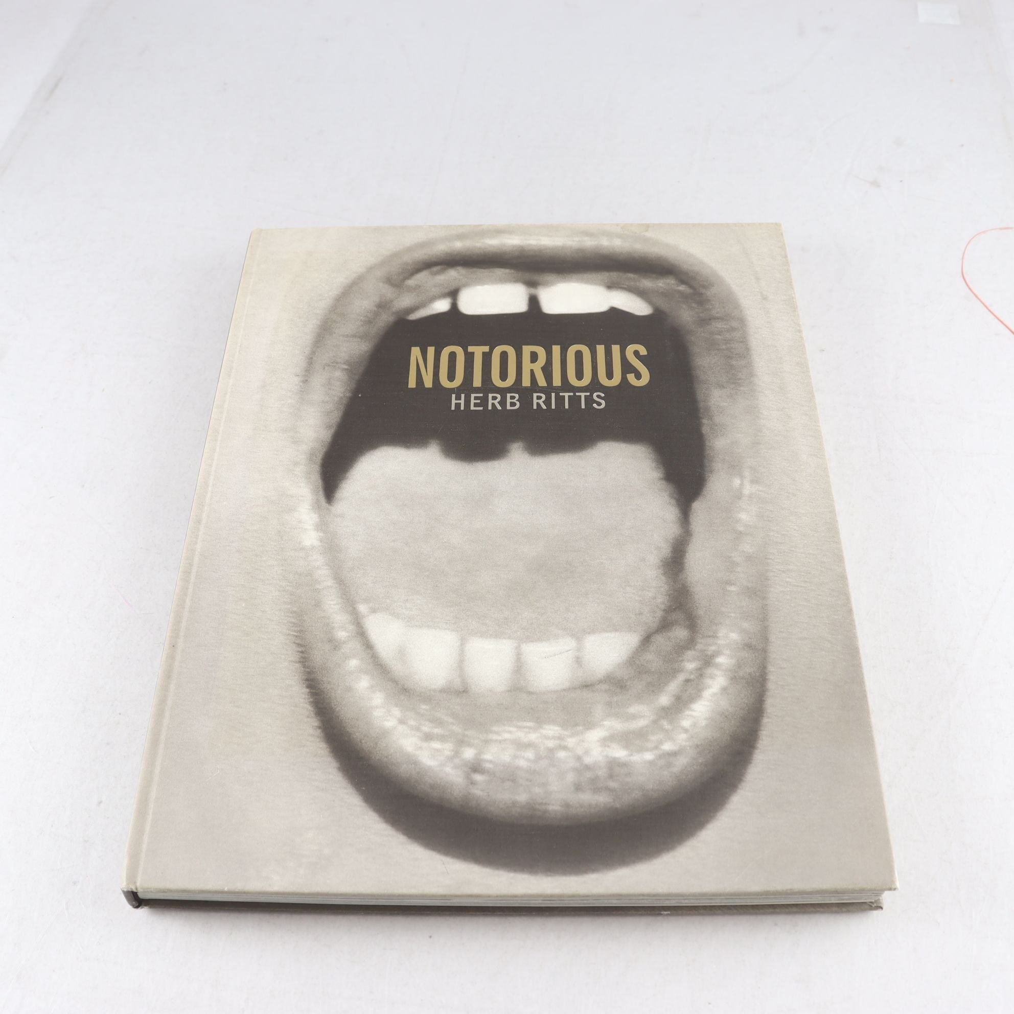 Herb Ritts, Notorious