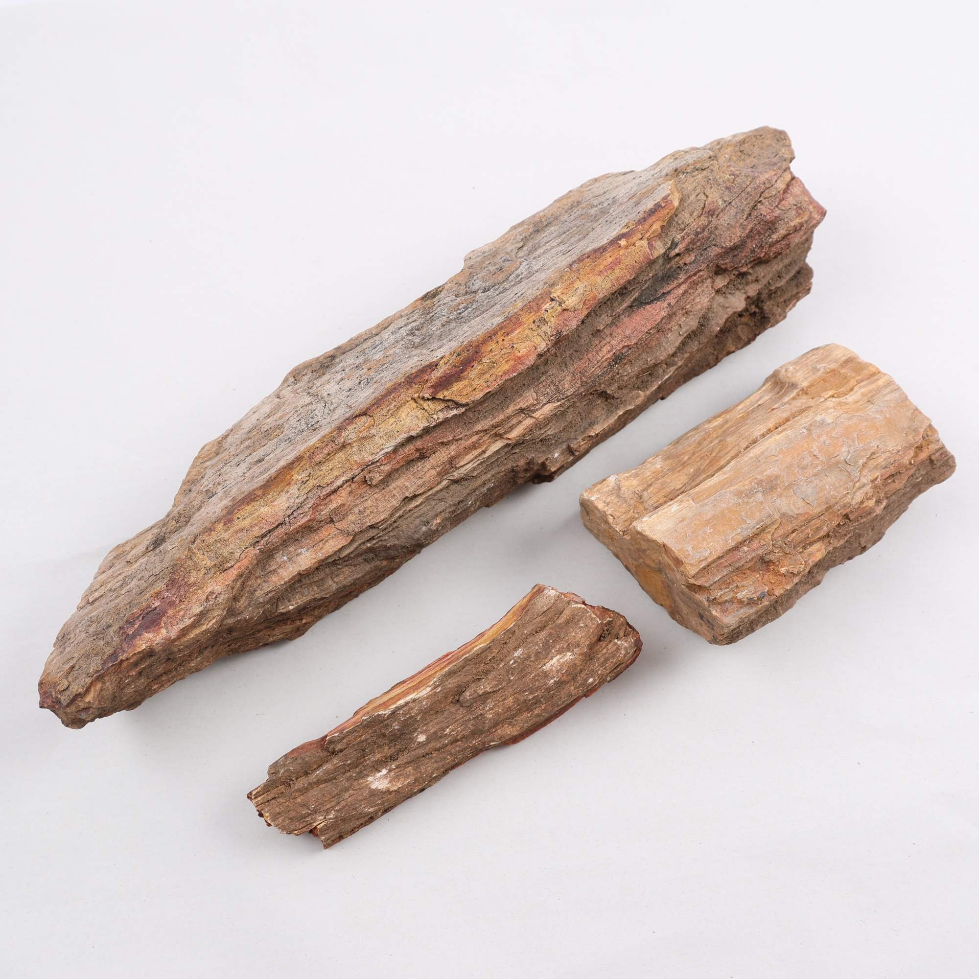 Fossiler, förstenat trä, 3 delar. Samfraktas ej.
