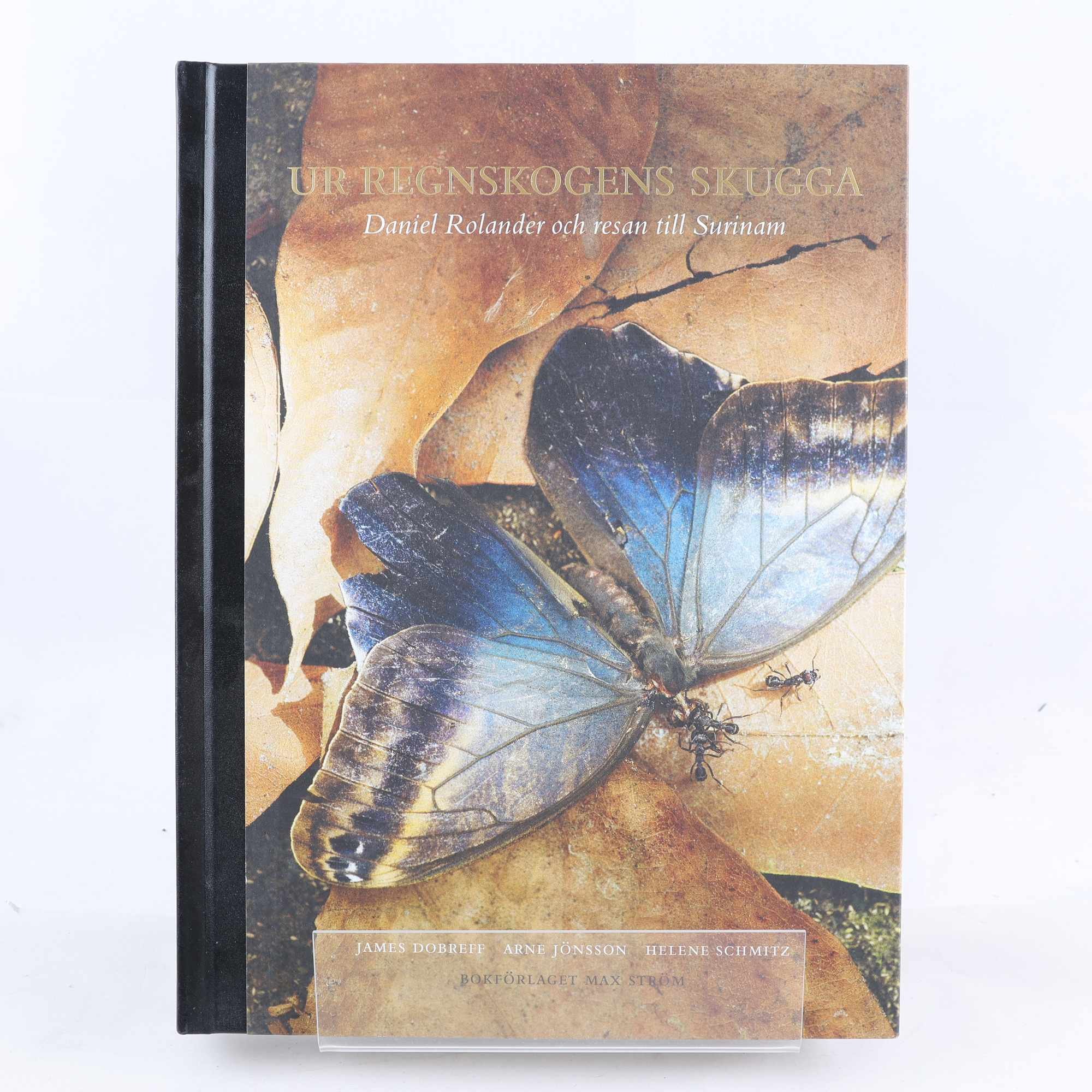 Ur regnskogens skugga: Daniel Rolander och resan till Surinam