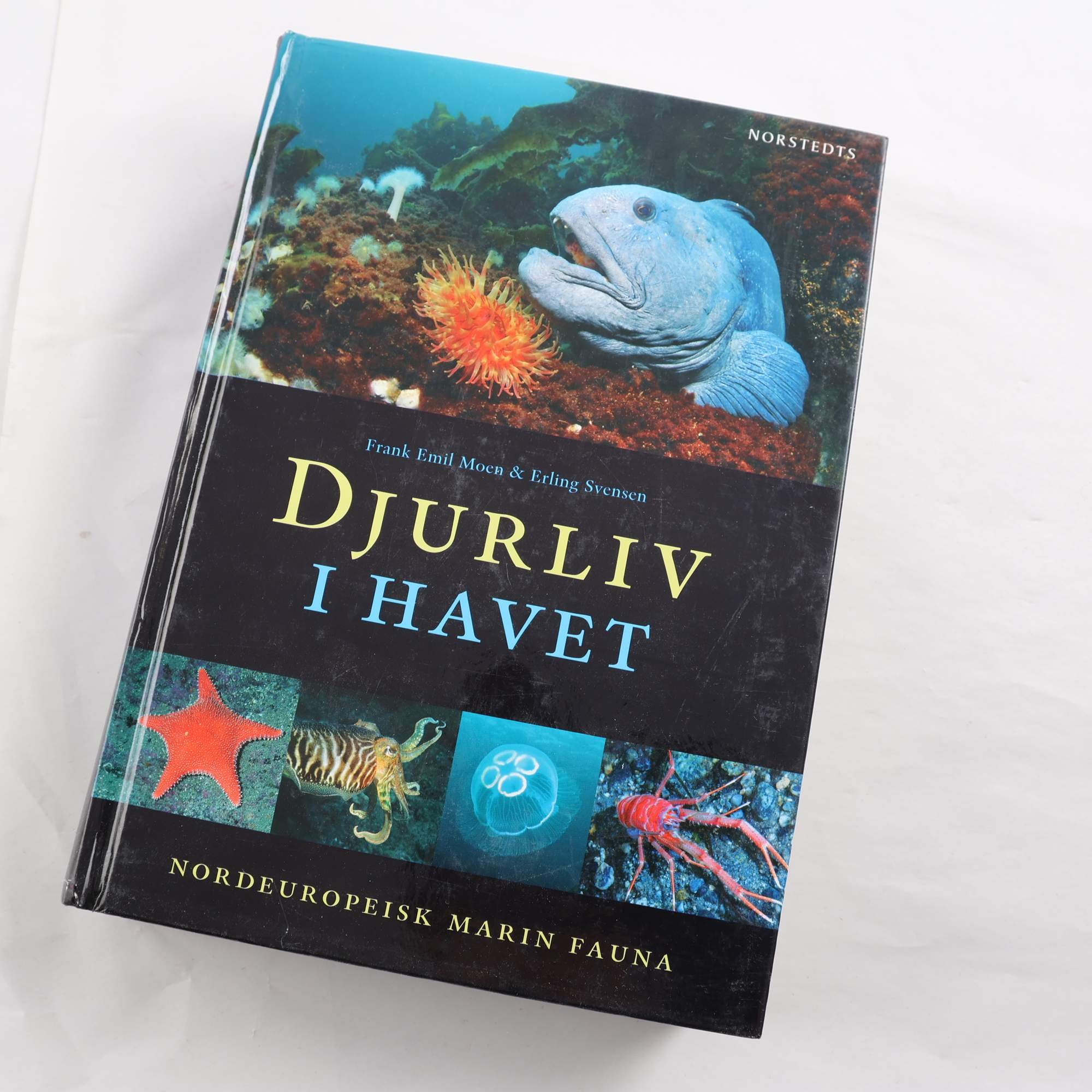 Djurliv i havet: Nordeuropeisk marin fauna