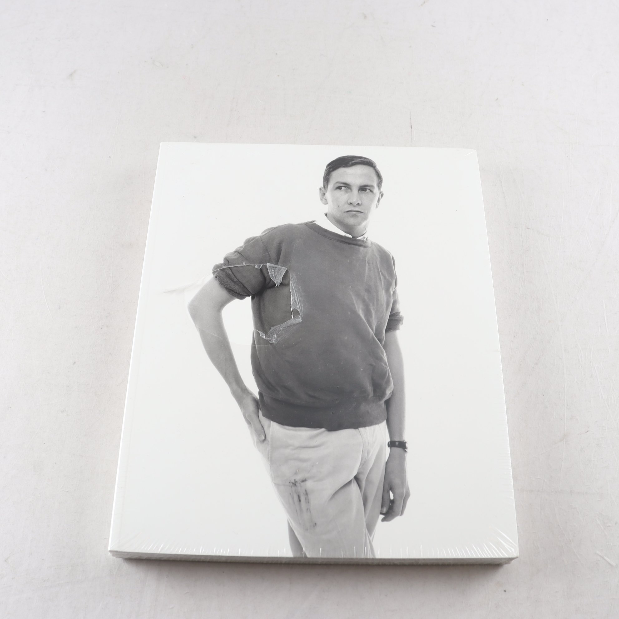 Robert Rauschenberg, Combines (inplastad)