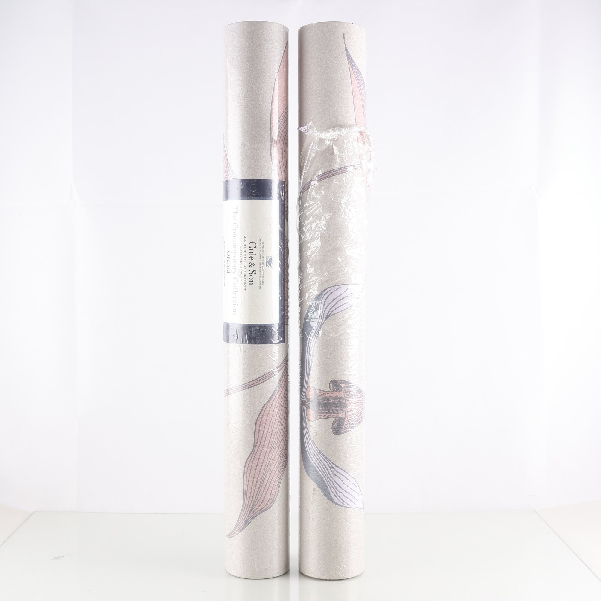 Tapetrullar, Orchid, Cole & Sons, 2 st. Samfraktas ej.