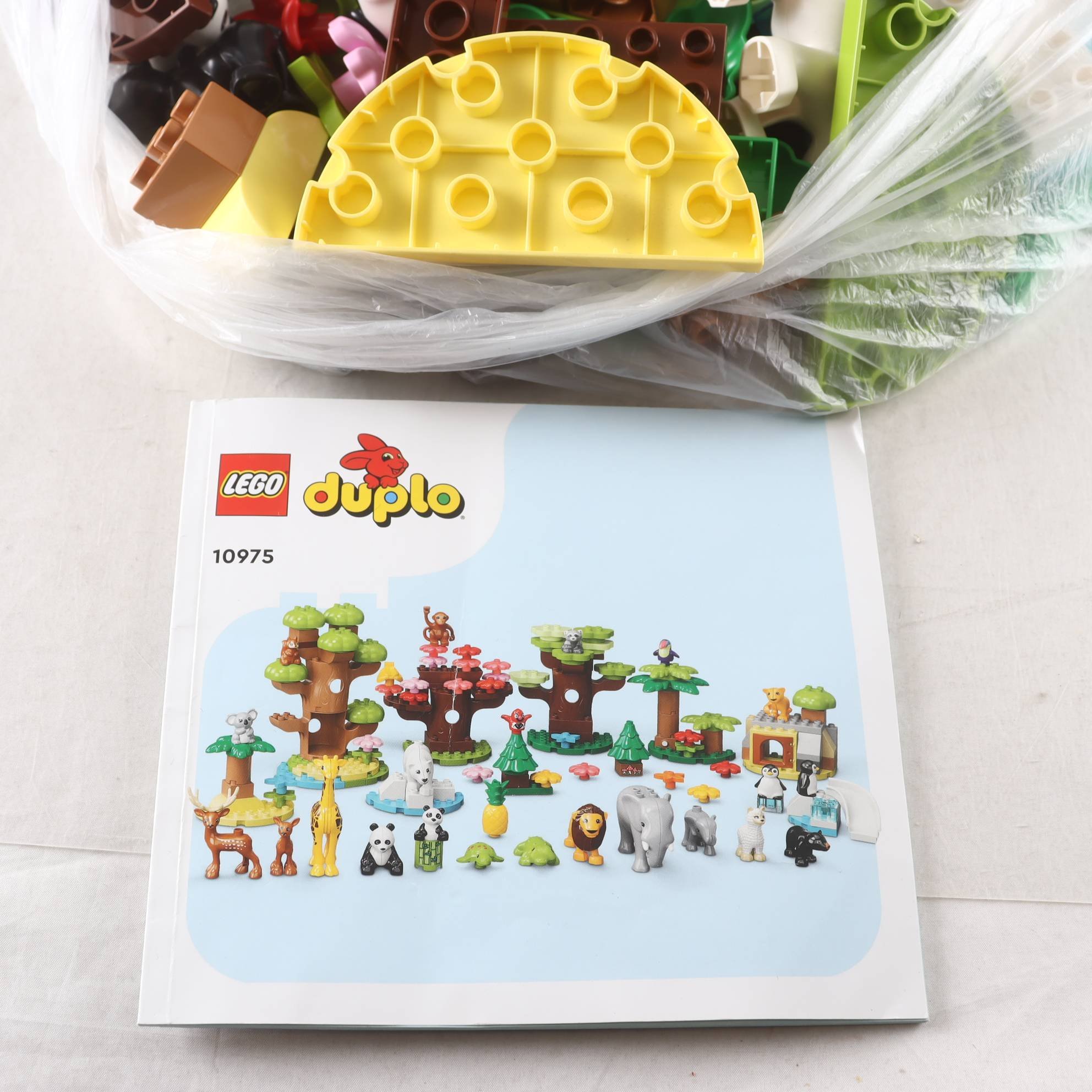Duplo 10975.