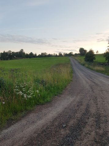 Sommarkollo för seniorer